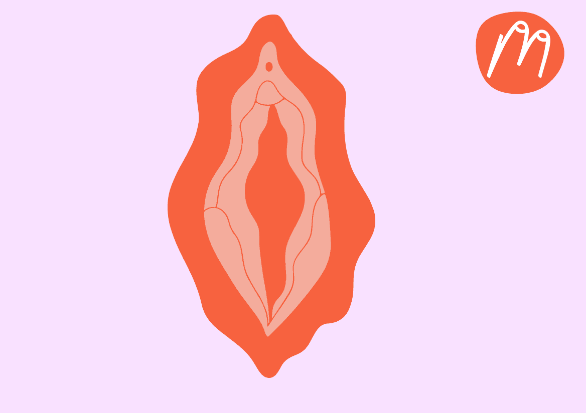 Vaginales Mikrobiom & Wechseljahre: So schützt du deine Intimgesundheit