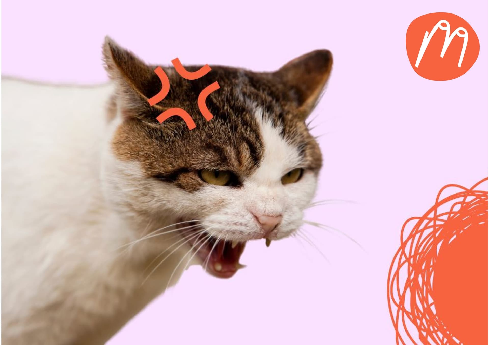 Why am I always so angry: Menopause anger