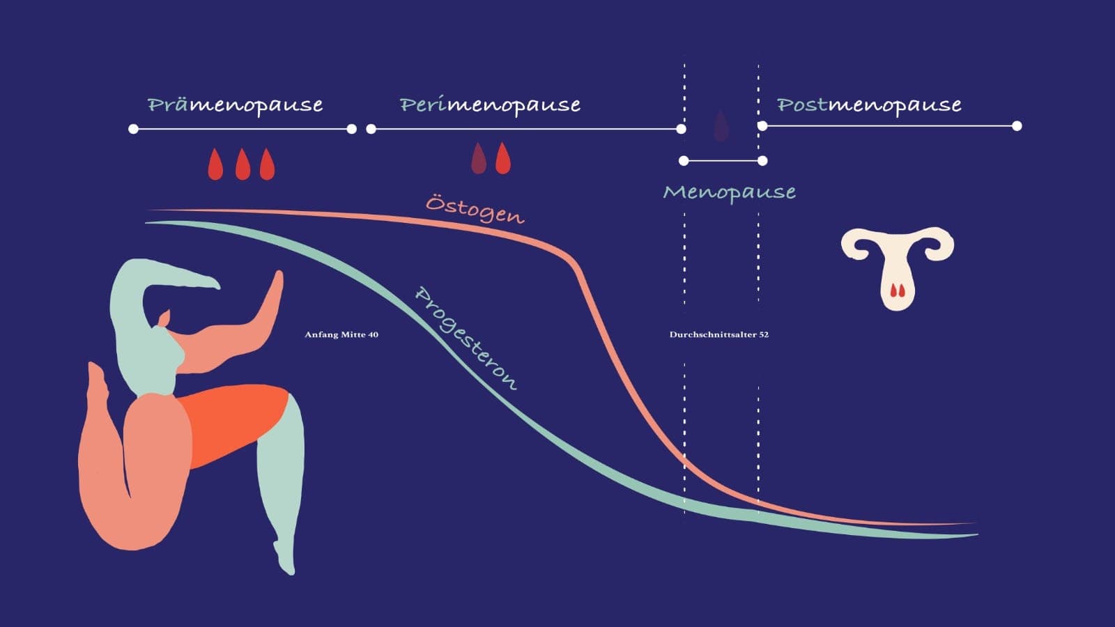 Ein Guide durch die verschiedenen hormonellen Phasen