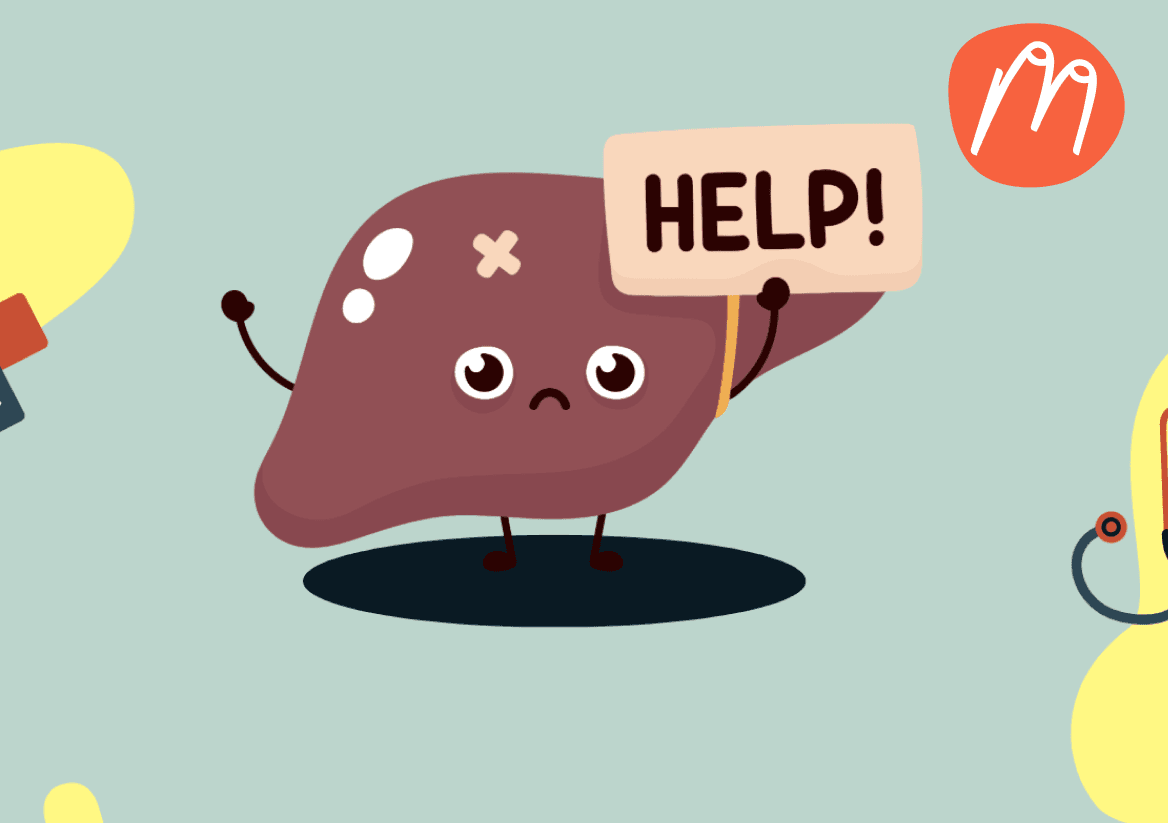 Warum deine Leber eine Schlüsselrolle für die Hormonbalance spielt – besonders in den Wechseljahren