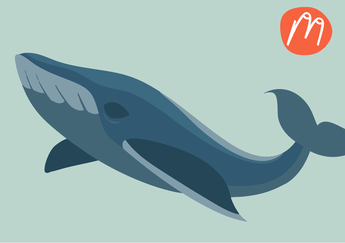 Die Menopause – Ein biologisches Wunder